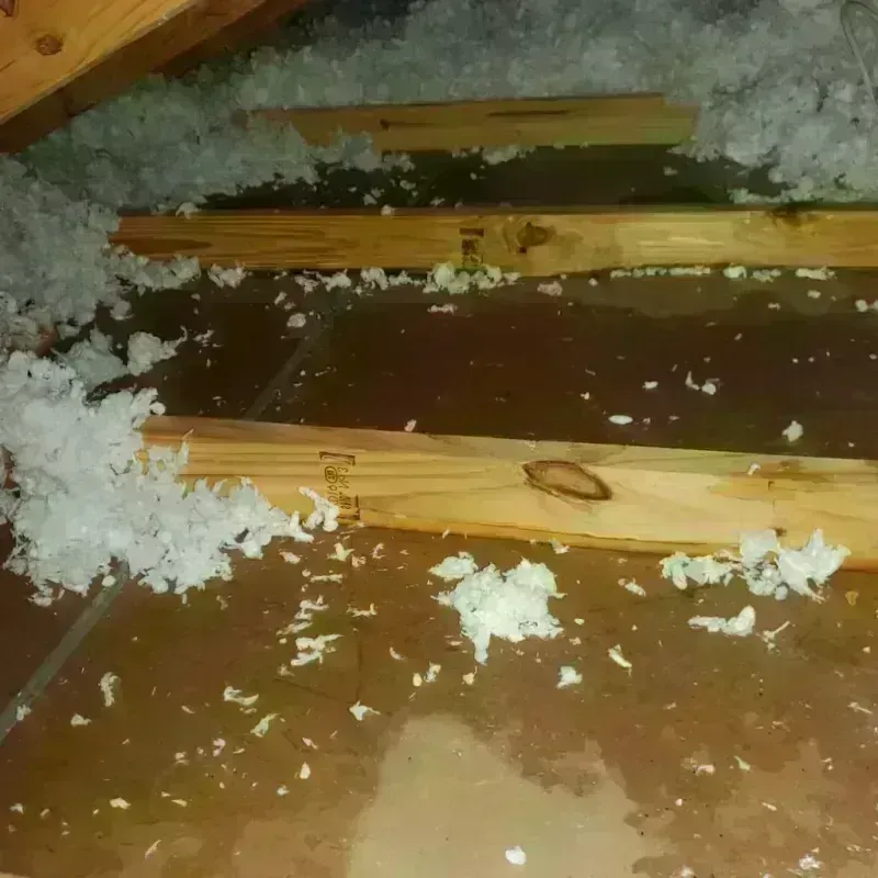 Attic Water Damage in Solon, IA