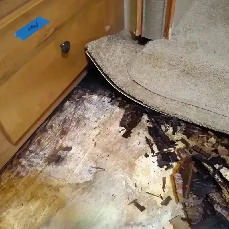 Wood Floor Water Damage in Solon, IA